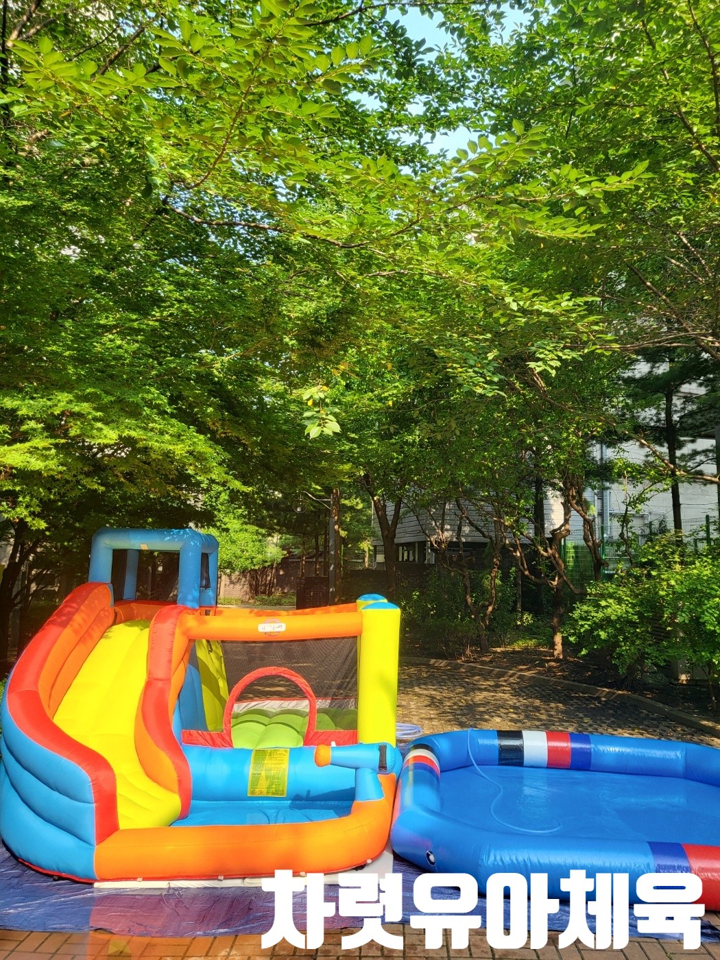 KakaoTalk_20230807_172146596.jpg